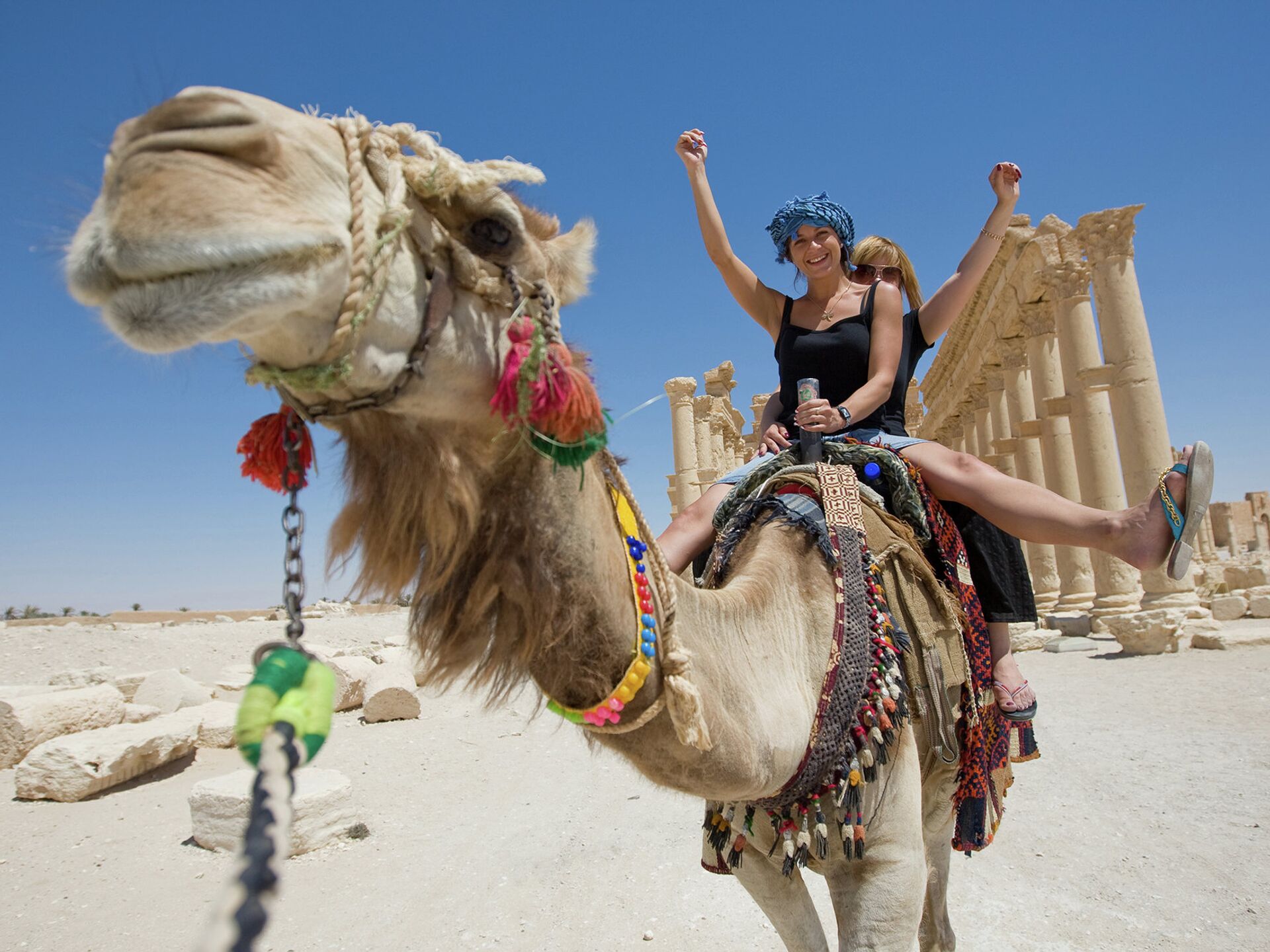 Где Дешевле Купить Тур В Египет