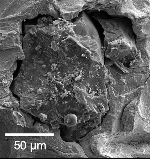 Grain of lunar soil under a scanning electron microscope