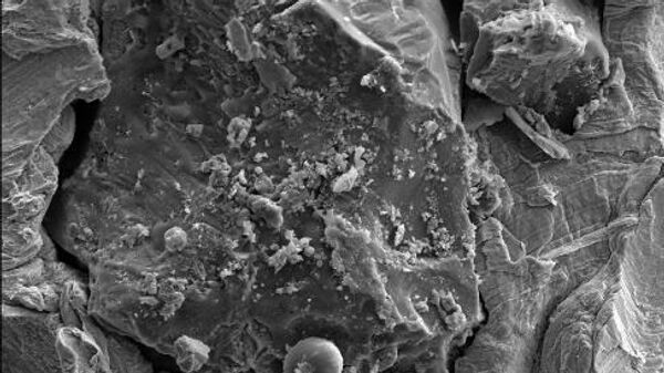 Зерно лунной почвы под сканирующим электронным микроскопом