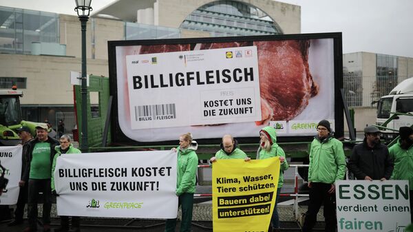 Активисты с плакатами Дешевое мясо стоит нам будущего в Берлине