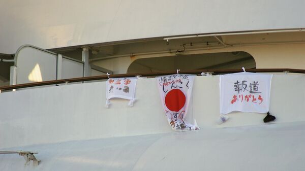 Пассажиры лайнера Diamond Princess вывесили флаги с надписями Спасибо прессе и Не хватает информации (от корабля) и лекарств