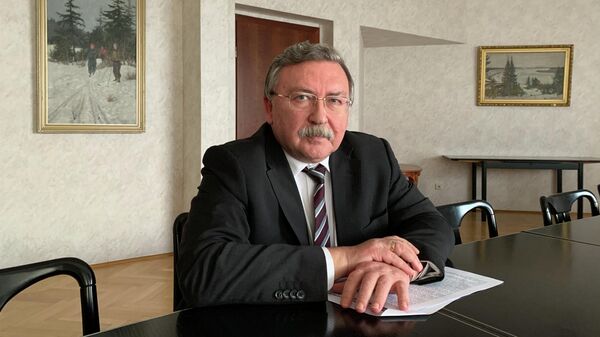 Постоянный представитель Российской Федерации при международных организациях в Вене Михаил Ульянов