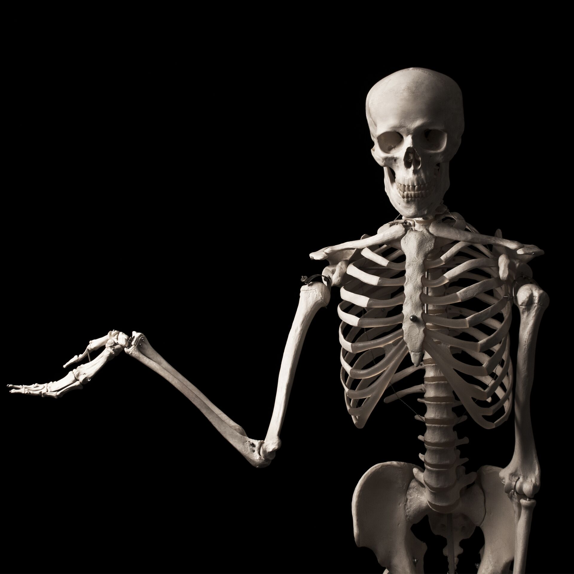Кости человеческие на черном фоне