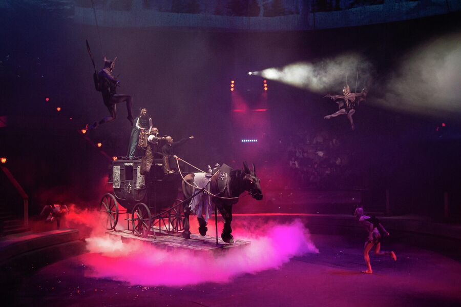 Шоу Раз, два, …, четыре, пять в Большом Московском цирке на проспекте Вернадского