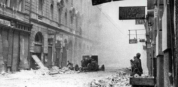 Бои на улицах Будапешта. Январь 1945 года