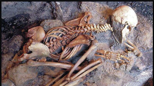 Скелет молодого человека в позе боксера, найденного на вилле Оплонтис