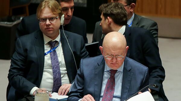 Постоянный представитель РФ при ООН Василий Небензя на заседании Совета безопасности ООН в Нью-Йорке