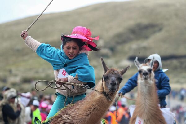 Участница традиционных гонок на ламах в национальном парке Лланганат, Эквадор