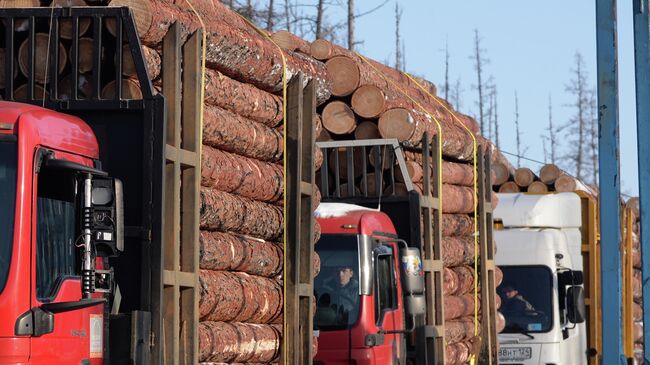 Лесовоз везет древесину в Красноярском крае