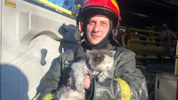 Сотрудник МЧС со спасенным из пожара котом