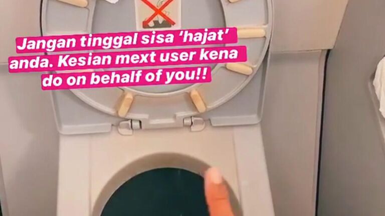 Руководство по использованию туалета в самолете