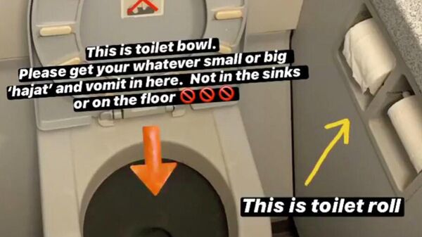 Руководство по использованию туалета в самолете