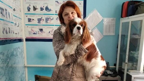 Женщина, провалившаяся с собакой по лед на Москве-реке