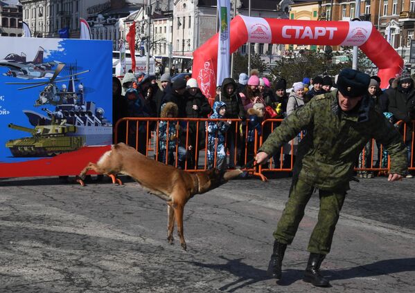 Кинолог с собакой во время демонстрационных выступлений на праздничных мероприятиях в честь Дня защитника отечества во Владивостоке