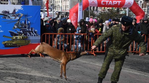Кинолог с собакой во время демонстрационных выступлений на праздничных мероприятиях в честь Дня защитника отечества во Владивостоке