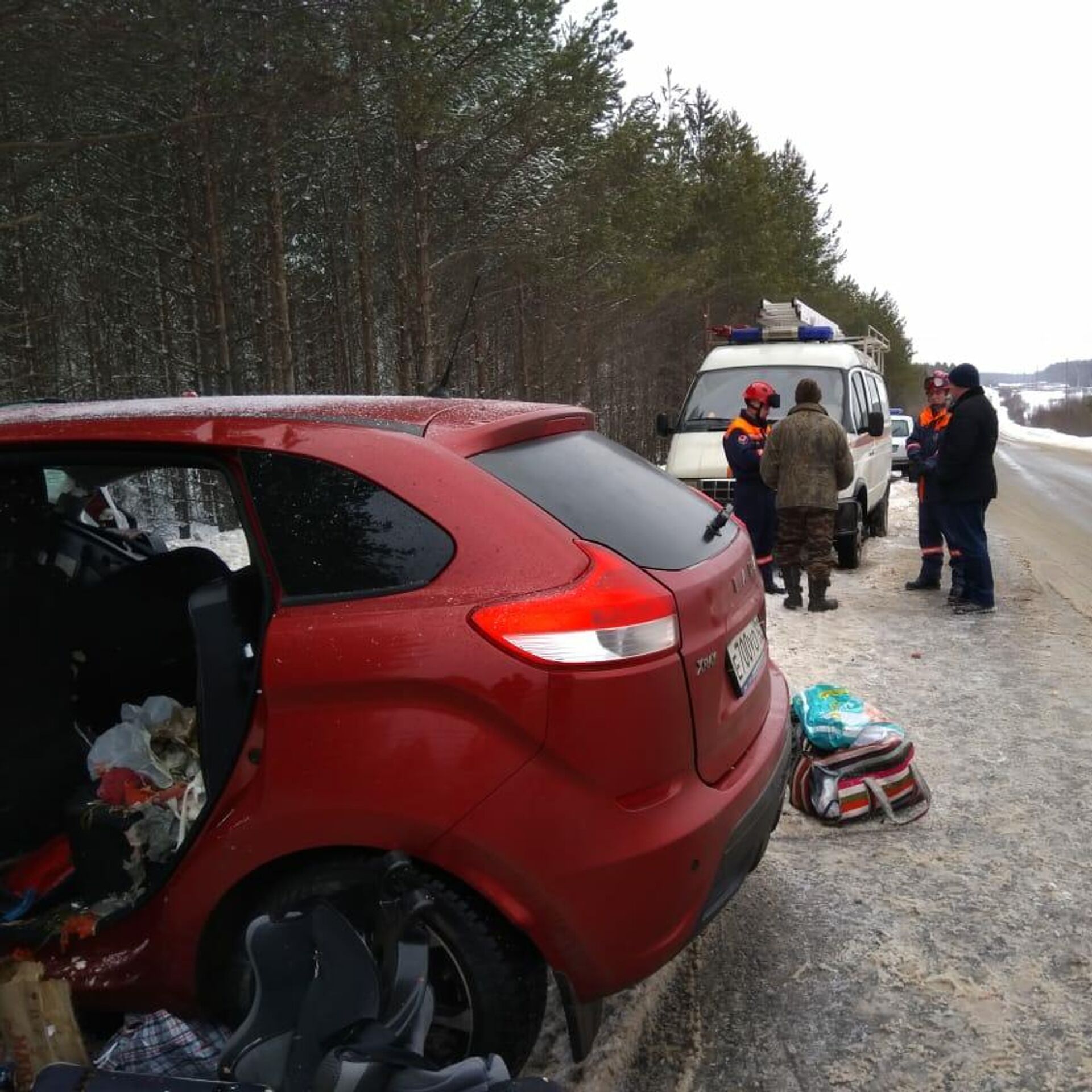 В Удмуртии семья из четырех человек погибла в ДТП - РИА Новости, 24.02.2020