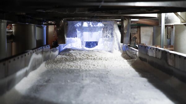 Сахар на конвейерной ленте на сахарном заводе в Краснодарском крае