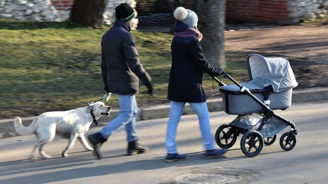 Жители Москвы гуляют по парку