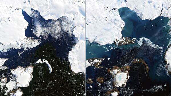 Спутниковые снимки таяния льдов на острове Игл (Eagle Island)в Антарктиде. На фото слева 4 февраля 2020, справа - 13 февраля 2020