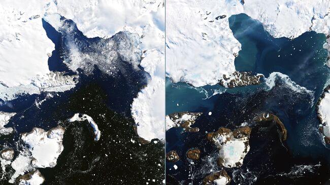 Спутниковые снимки таяния льдов на острове Игл (Eagle Island)в Антарктиде. На фото слева 4 февраля 2020, справа - 13 февраля 2020