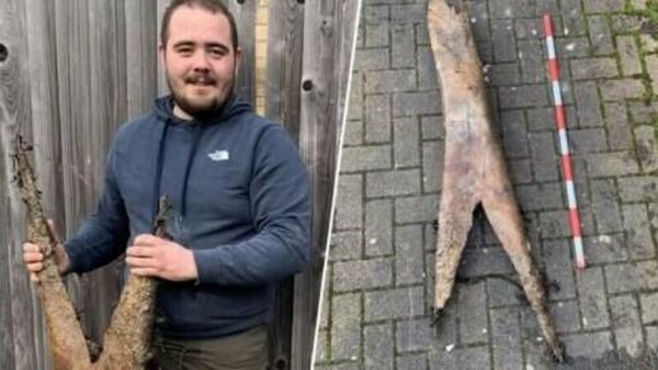 Мужчина нашел останки неизвестного существа в Англии