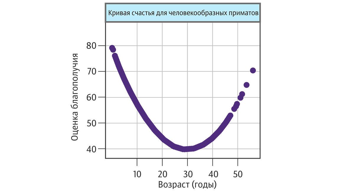 Кривая счастья для человекообразных приматов - РИА Новости, 1920, 04.09.2020