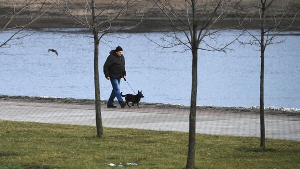 Мужчина гуляет с собакой