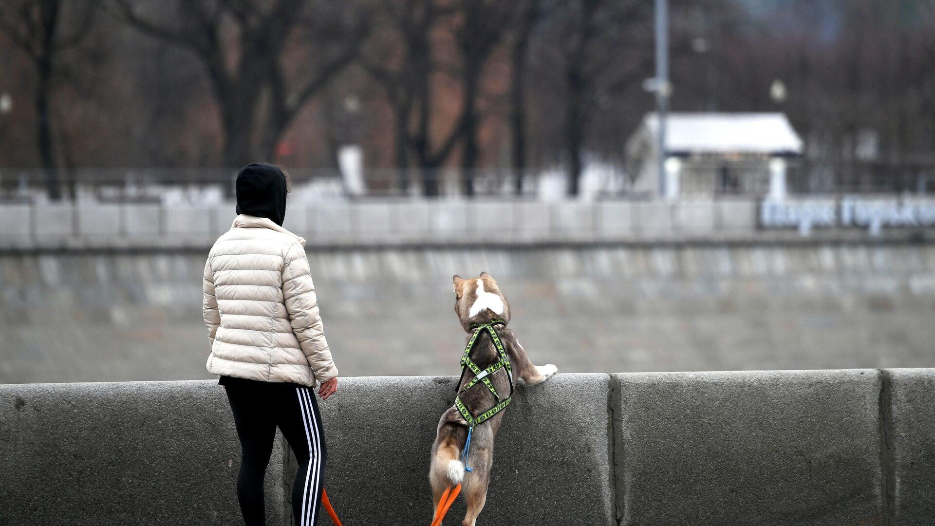 Девушка гуляет с собакой по набережной - РИА Новости, 1920, 03.11.2023