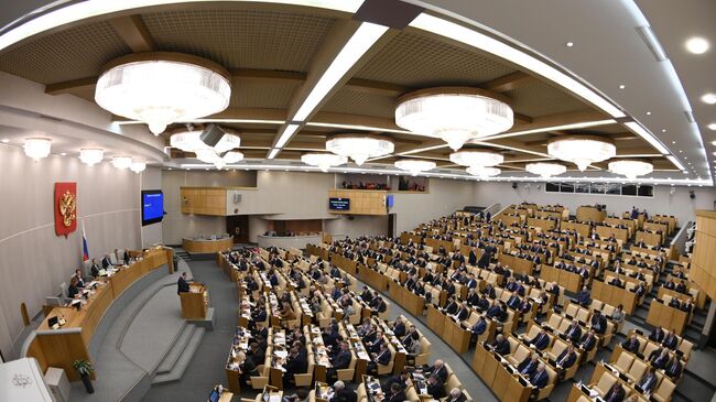 Пленарное заседание Государственной Думы РФ