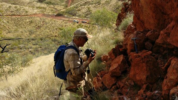 Бенджамин Джонсон, один из авторов исследования, осматривает обнажение в районе Панорама, Западная Австралия