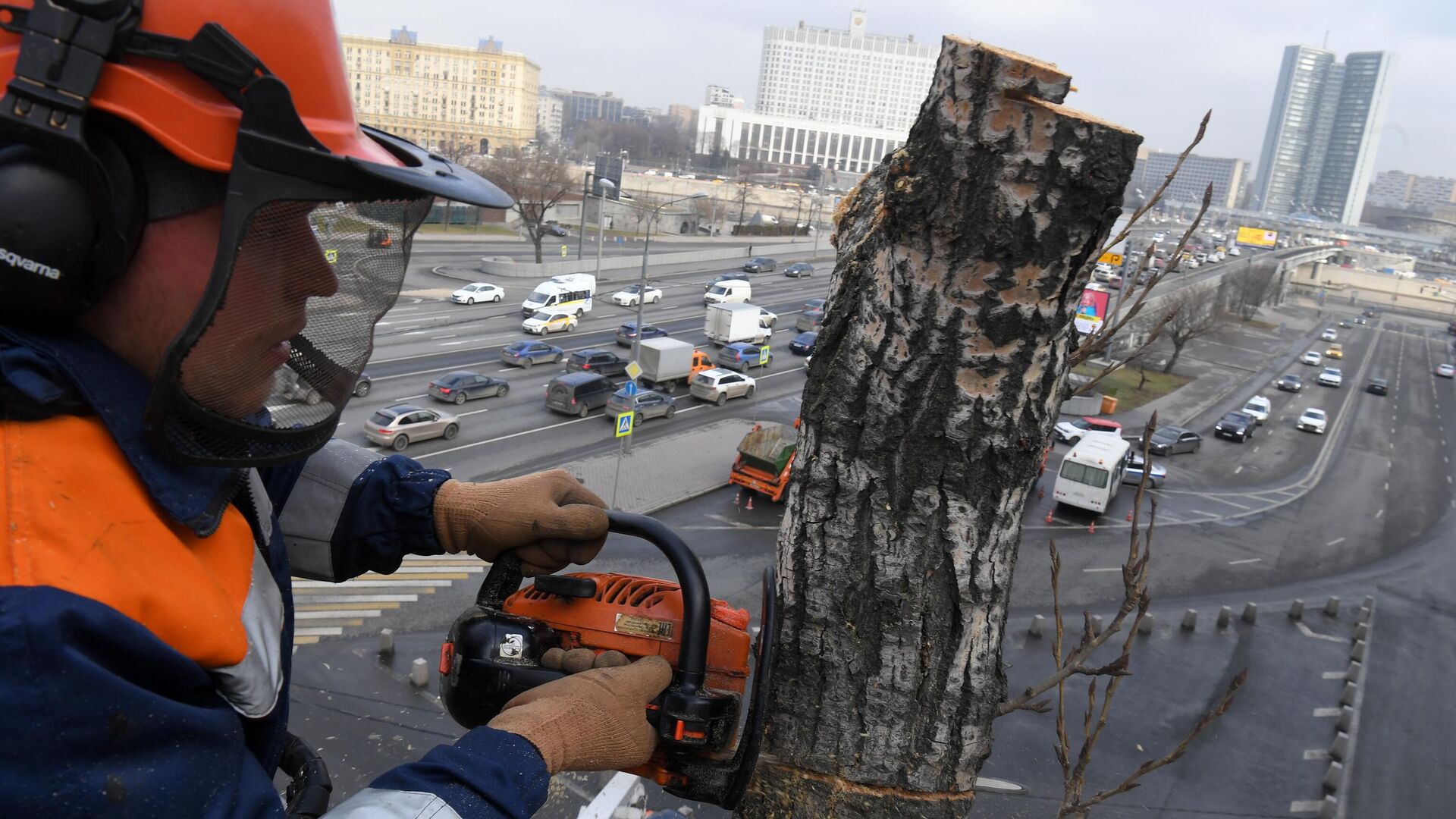 Сотрудник коммунальной службы обрезает ветки дерева на одной из улиц в Москве - РИА Новости, 1920, 17.03.2022