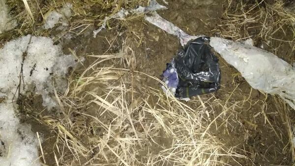 В городе Йошкар-Оле на улице обнаружено тело новорожденного