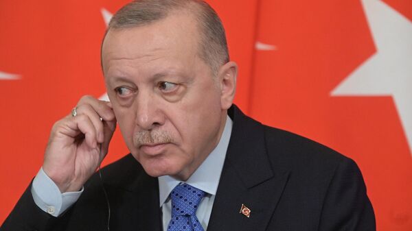 Президент Турции Реджеп Тайип Эрдоган во время совместного с президентом РФ Владимиром Путиным пресс-подхода