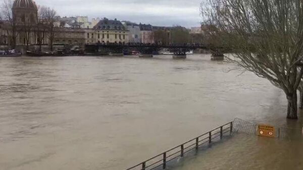 В парижской Сене повысился уровень воды
