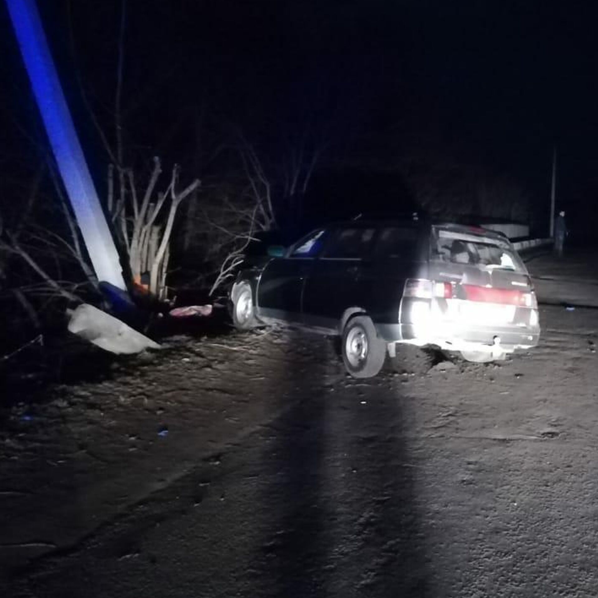 В Воронежской области пьяный водитель сбил семью на обочине - РИА Новости,  09.03.2020