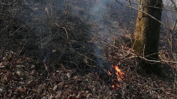 Возгорание сухой травы в Краснодарском крае. 10 марта 2020