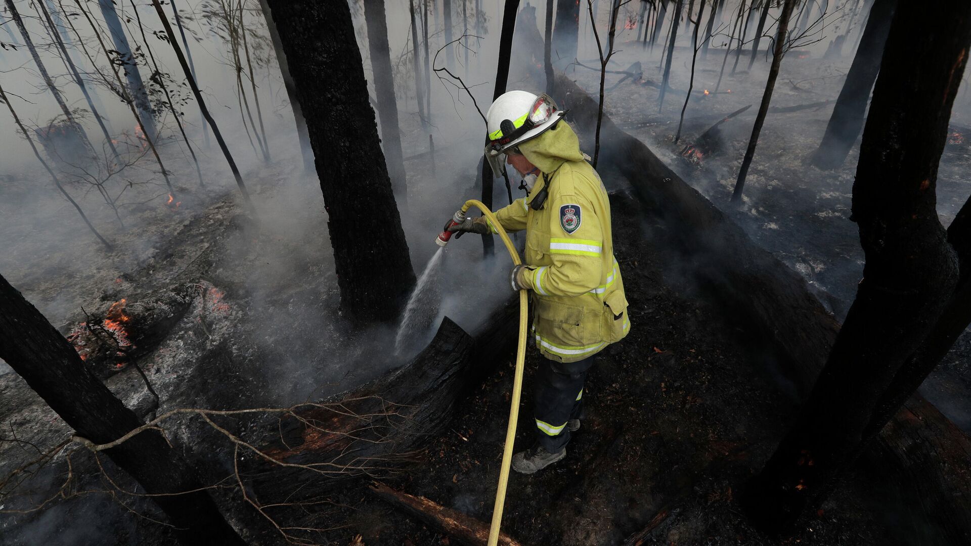Пожарный среди сгоревшего леса в Австралии - РИА Новости, 1920, 30.11.2020