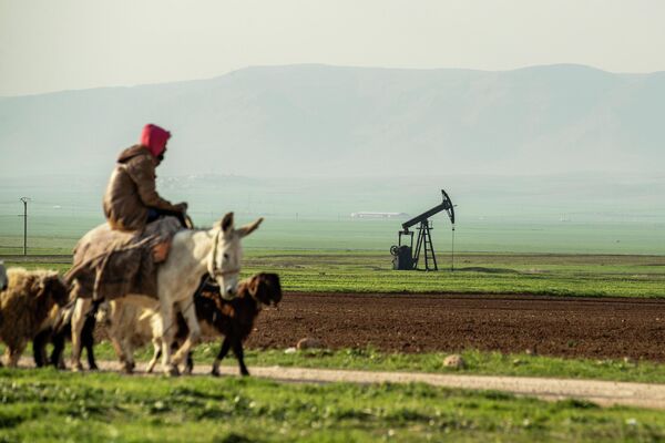 Пастух проезжает мимо нефтяного месторождения в сирийской провинции Эль-Хасака недалеко от турецкой границы