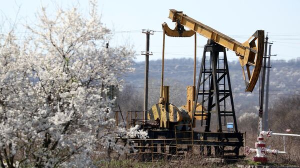 Нефтяной станок-качалка на Абино-Украинском нефтегазовом месторождении в Краснодарском крае