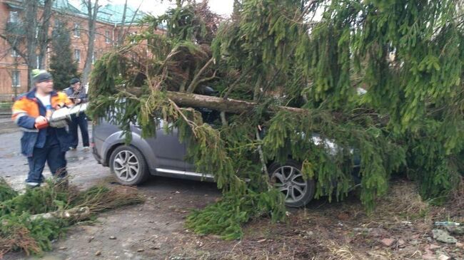 Последствия сильного ветра в Москве