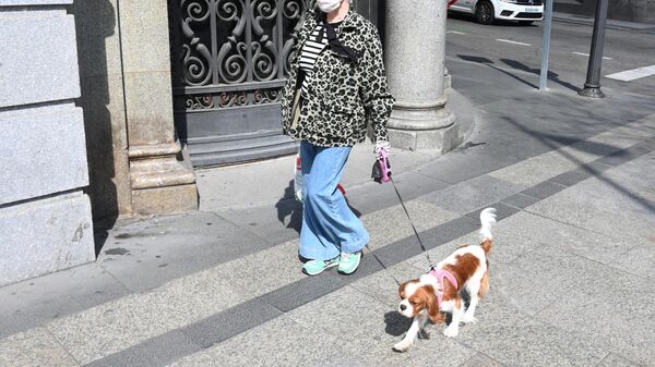 Женщина в защитной маске гуляет с собакой на одной из улиц Мадрида