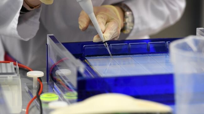 Сотрудник научно-исследовательской лаборатории Генные и клеточные технологии при Казанском федеральном университете готовит препарат