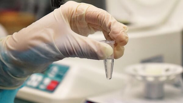 Сотрудник лаборатории во время тестирования проб на коронавирус