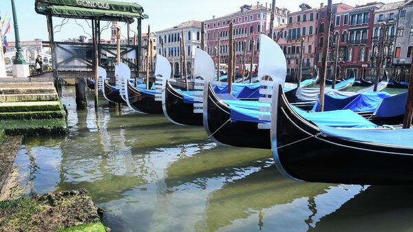Гондолы в Большом канале Венеции
