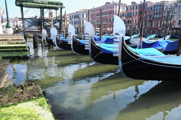Гондолы в Большом канале Венеции