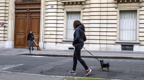 Девушки выгуливают собак на одной из улиц Парижа