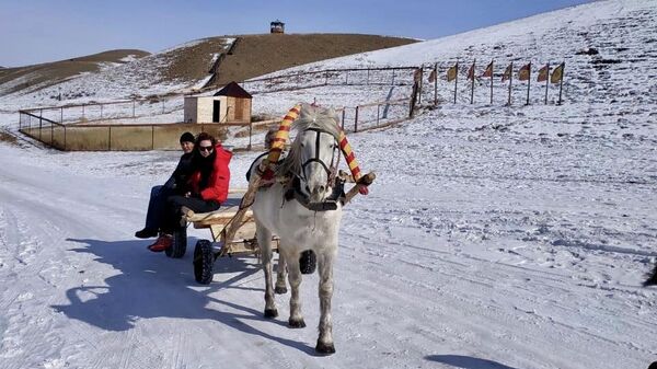 Туристов катают на телеге в этнокомплексе Степной ковечник, Заиграевский район, Бурятия