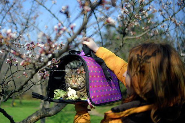 Девушка с котом в парке в Бухаресте