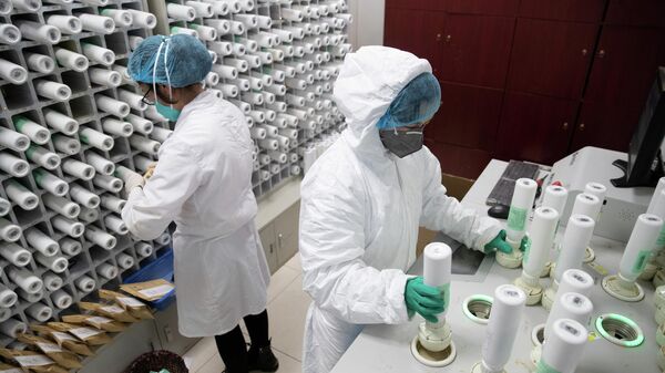 Медицинский персонал подготавливают препараты ТКМ для борьбы с коронавирусом