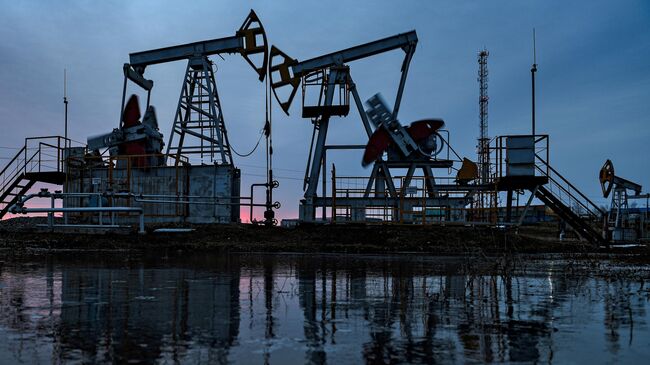 Эксперт рассказал, как снизить зависимость от нефтяного экспорта